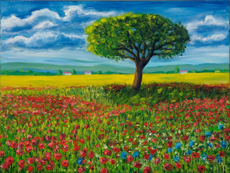 Mohnblumenfeld (79x59).jpg - Mohnblumenfeld / Poppyfield (79x59)cm (Öl auf Leinwand, 2011)